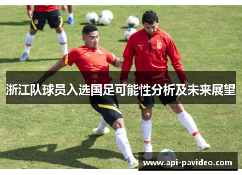 浙江队球员入选国足可能性分析及未来展望