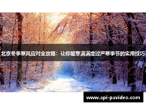 北京冬季寒风应对全攻略：让你暖意满满度过严寒季节的实用技巧