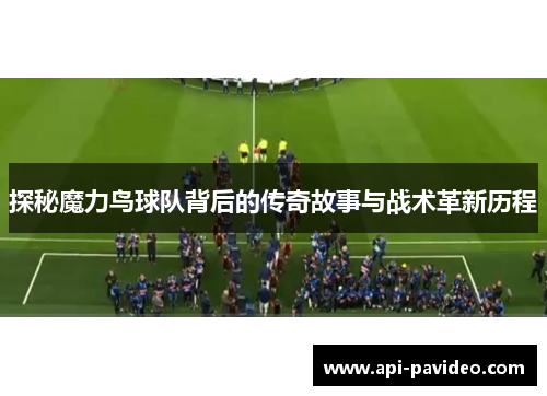 探秘魔力鸟球队背后的传奇故事与战术革新历程