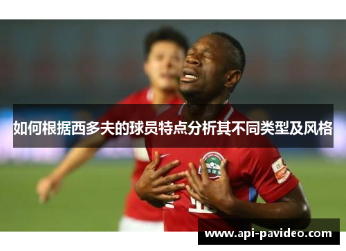 如何根据西多夫的球员特点分析其不同类型及风格