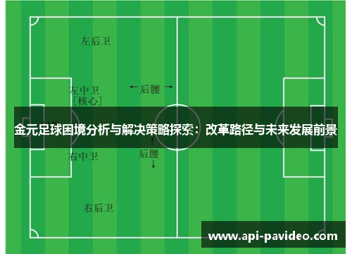 金元足球困境分析与解决策略探索：改革路径与未来发展前景