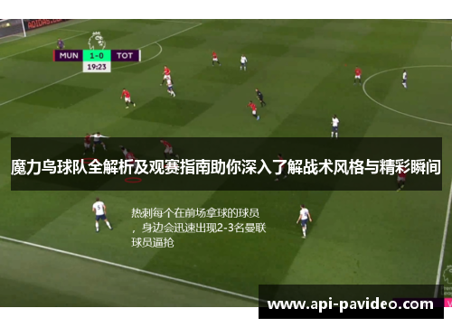 魔力鸟球队全解析及观赛指南助你深入了解战术风格与精彩瞬间 魔力鸟球队全解析及观赛指南助你深入了解战术风格与精彩瞬间