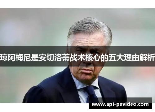 琼阿梅尼是安切洛蒂战术核心的五大理由解析